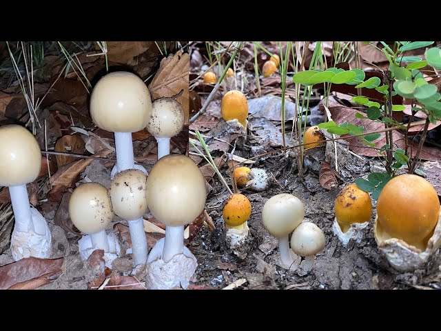 à¸• à¸™à¹€à¸• à¸™à¸¡à¸²à¸à¹† à¹€à¸ à¸šà¹€à¸« à¸