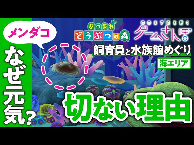 観る音楽 2 あつ森 Asmr 博物館で歩く 走る音 編 テキスト実況 Litetube