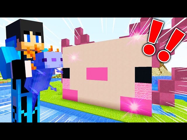 マイクラ エンドラの赤ちゃんを育てるマインクラフトがヤバすぎた マインクラフト まいくら Litetube マイクラ エンドラの赤ちゃんを育てるマインクラフトがヤバすぎた マインクラフト まいくら Litetube