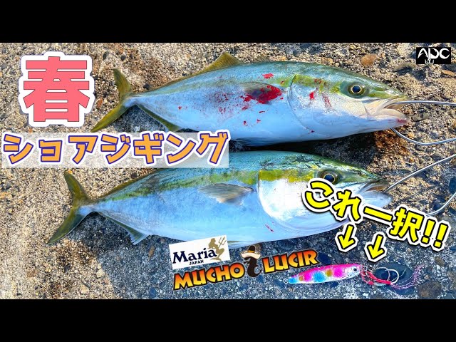 ライトショアジギング 堤防から簡単に青物が釣れる季節がやってきました Litetube