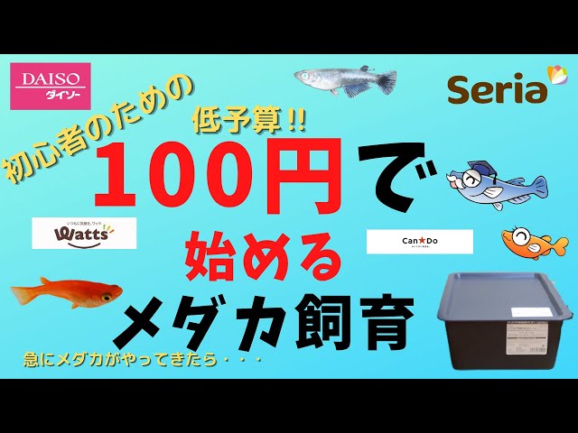 Tamaya Medaka Tamaya Rice Fish Litetube
