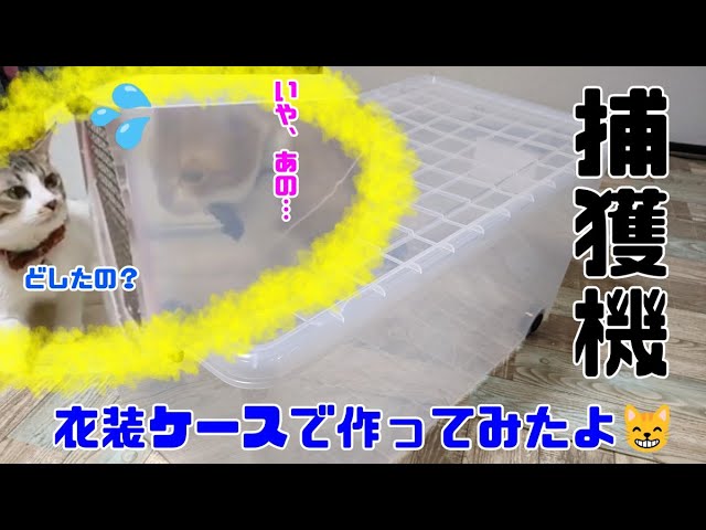 猫の保護器 傷つけないネコ捕獲器 大事な飼い猫ちゃんの保護に 突起物が少なく猫を傷つけにくい保護用捕獲かごのご紹介 Cat Catcher Trap Litetube 猫の保護器 傷つけないネコ捕獲器 大事な飼い猫ちゃんの保護に 突起物が少なく猫を傷つけにくい保護用捕獲かごのご紹介 Cat Catcher Trap Litetube
