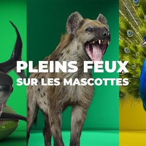Feu Vert Le Chat S En Va Youtube Feu Vert Le Chat S En Va Youtube