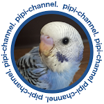 あいうえお50音全部言えるかな ピピのおしゃべり集 第 弾 セキセイインコ 生後2年目 My Talking Budgie Sayings Subtitled 055 Youtube