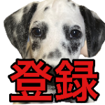 おっさんいた 大型犬3頭の日常生活 Youtube おっさんいた 大型犬3頭の日常生活 Youtube