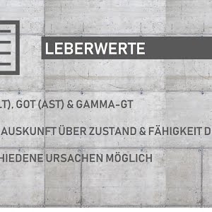 Wichtige Leberwerte Erhoht Got Gpt Gamma Gt Verbessern Senken Bedeutung Ursachen Verstehen Youtube Wichtige Leberwerte Erhoht Got Gpt Gamma Gt Verbessern Senken Bedeutung Ursachen Verstehen Youtube