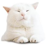 漫画 猫の王様ペルシャ猫はギャップ萌え マンガ動画 Youtube