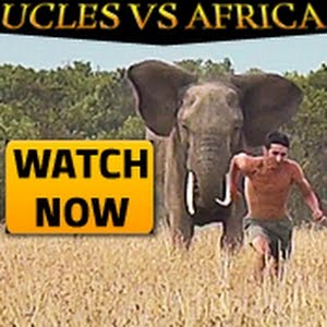 Bee Attack Caveman Vs Wild Bee Hive With Andrew Ucles Youtube Bee Attack Caveman Vs Wild Bee Hive With Andrew Ucles Youtube