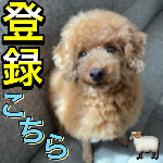 自分で出来る犬のセルフトリミングのやり方 羊カット トイプードル セルフカット Youtube