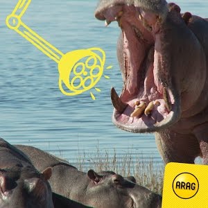 Mal Wieder Zeit Fur Eine Zahnreinigung Die Arag Zahnzusatzversicherung Youtube