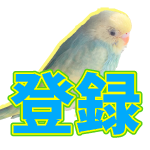 手の上でウトウト セキセイインコ Youtube