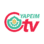 Diskusi Bahasa Melayu Spm 2021 Youtube