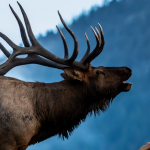 Welcome To The Hell Zone Spooky Black Lyrics Youtube Welcome To The Hell Zone Spooky Black Lyrics Youtube