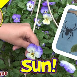 Solar Print Kit Wisconsin Historical Society Store