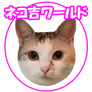 猫に小判 スーパーネコ吉ケリケリ Continuous Kick Of A Cat Youtube 猫に小判 スーパーネコ吉ケリケリ Continuous Kick Of A Cat Youtube