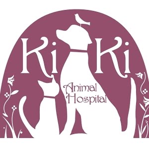 亀の卵詰まり 症状と対処法や手術 産卵失敗 動かない 食欲不振 食べない 後ろ足を引きずる 大阪堺 爬虫類 亀の病院 Youtube 亀の卵詰まり 症状と対処法や手術 産卵失敗 動かない 食欲不振 食べない 後ろ足を引きずる 大阪堺 爬虫類 亀の病院 Youtube