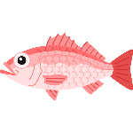 深海釣り プレジャーボート釣行 Youtube 深海釣り プレジャーボート釣行 Youtube