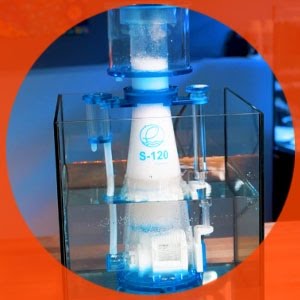 Eshopps S Series Protein Skimmers Classic Sicce Driven Skimmers At A Less Than Classic Price Youtube Eshopps S-120 Review 2022