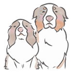犬のトリック 芸 バウ おじぎ の教え方 2種類 Dog To Take A Bow Youtube