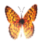 Meepcity Hackers Discord Roblox Investigation 1 Youtube - meepcity hackers discord roblox roblox secretos de meepcity irobux discord Meepcity Hackers Discord Roblox Investigation 1 Youtube - roblox secretos de meepcity irobux discord