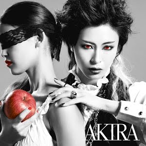 Akira ヴァニタスの円舞曲 Music Video Youtube