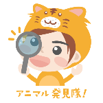 ニジイロクワガタを観察 世界一美しいクワガタ オス メス マクロ撮影 Youtube