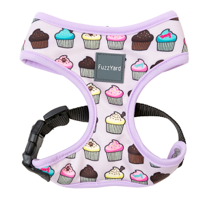 How To Fit The 5 Main Types Of Dog Harnesses Youtube