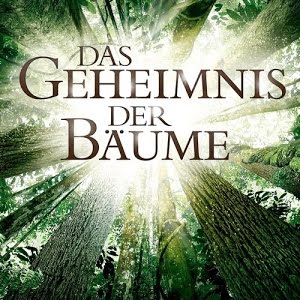 Das Geheimnis Der Baume Trailer Deutsch German 2014 Doku Hd Youtube