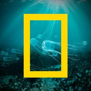 Japońskie samoloty-pociski były pilotowane przez kamikaze ...