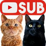 愛猫ギネスと窓拭きおじさん 赤ちゃん初めてのご対面編 Youtube 愛猫ギネスと窓拭きおじさん 赤ちゃん初めてのご対面編 Youtube