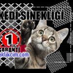 kedi kapisi kopek kapisi evcil hayvan