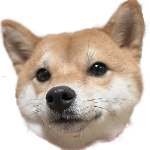 豆柴 柴犬のしつけ 初心者でも簡単 伏せの教え方 第36話 Youtube 豆柴 柴犬のしつけ 初心者でも簡単 伏せの教え方 第36話 Youtube