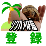 新しい仲間 From カメランドヒグチ ロシアリクガメ ベビー 初めてリクガメをお迎えしたショップ Youtube 新しい仲間 From カメランドヒグチ ロシアリクガメ ベビー 初めてリクガメをお迎えしたショップ Youtube