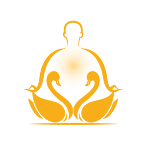 sudarshan kriya wiki