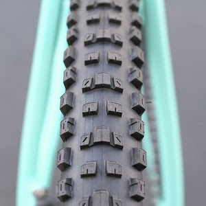 maxxis dissector tire