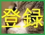 Gta5 オンライン 初心者必見 超簡単なランク上げ Ps4 Youtube