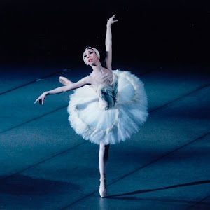 ディズニー プリンセス ヴァリエーションズ バレエ Ballet Disney Princess Variation Youtube ディズニー プリンセス ヴァリエーションズ バレエ Ballet Disney Princess Variation Youtube