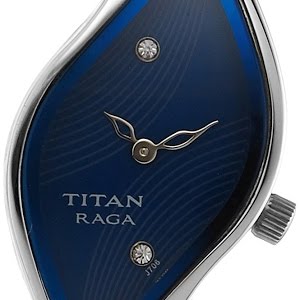 ne2480sm02 titan watch