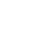 SEBii's VVSS Logo