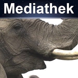 Wie Kamen Hannibals Elefanten Uber Die Alpen Antike Youtube