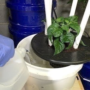 48 x 48 x 80 Mylar Hydroponic Grow Tents for Indoor Plant Growing Including Installation Instructions Minerva Indoor Grow Tent