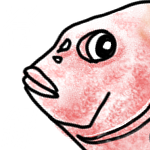 閲覧注意 観察団 ユムシ Youtube 閲覧注意 観察団 ユムシ Youtube