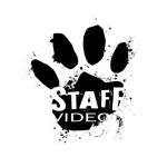 Qg 4k Youtube