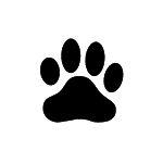 等身大パネル 245cmの永瀬廉を作ってみた Diy Youtube