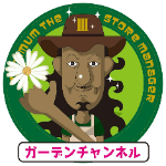 正しい剪定方法教えます 柑橘類は剪定しないと実が取れませんよ ガーデニング 園芸 初心者 レモン みかん オレンジ Youtube