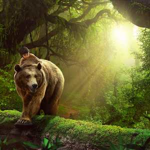 photoshop not working reset photoshop