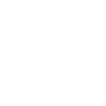 極小パピー 生後3か月の初めてのトリミング トイプードル Youtube