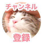 シャーシャー威嚇する猫に倍返しした結果 猫のカカオ 10 Norwegian Forest Cat Youtube シャーシャー威嚇する猫に倍返しした結果 猫のカカオ 10 Norwegian Forest Cat Youtube