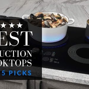 best induction hob 2019