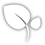 ごぼうのささがきとアク抜きのやり方 料理の基本 How To Sasagaki Cut Burdock Kitchen Tanaka 兄レシピ Youtube ごぼうのささがきとアク抜きのやり方 料理の基本 How To Sasagaki Cut Burdock Kitchen Tanaka 兄レシピ Youtube